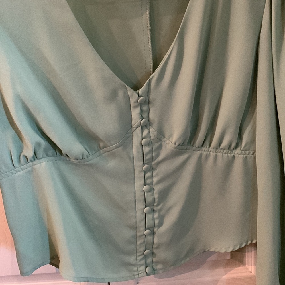 Backyard Roses Joanna Button Blouse - Picture 6 of 6